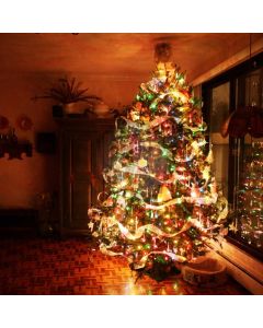 Christmas Tree Gift Window Computer Printed Photography Backdrop ABD-023