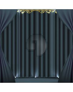 Stage Curtain Footlight Computer Printed Photography Backdrop ABD-036