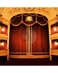 Stage Curtain Computer Printed Photography Backdrop ABD-040