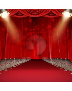 Arches Carpet Light Computer Printed Photography Backdrop ABD-045