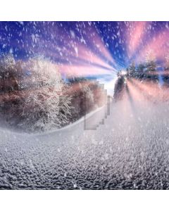 Snowflake Tree Computer Printed Photography Backdrop ABD-079