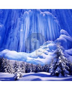 Snow Fir Cypress Computer Printed Photography Backdrop ABD-083