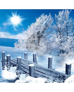 Tree Wood Bridge Sun Computer Printed Photography Backdrop ABD-092