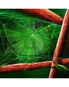 Webcob Spider Wood Log Computer Printed Photography Backdrop ABD-164
