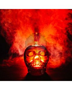Fire Skull Head Computer Printed Photography Backdrop ABD-168