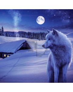 Animal Moon Snow Computer Printed Photography Backdrop ABD-176