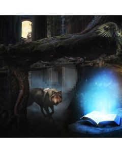 Wolf Animal Light Book Computer Printed Photography Backdrop ABD-184