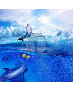 Dolphin Sea Sky Computer Printed Photography Backdrop ABD-185