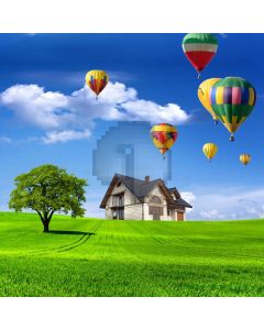 Balloon House Grass Sky Computer Printed Photography Backdrop ABD-186