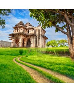 Castle Tree Grass Road Computer Printed Photography Backdrop ABD-192