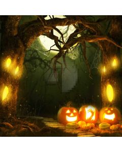 Pumpkin Lantern Tree Light Computer Printed Photography Backdrop ABD-193