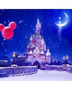 Snow House Balloon Computer Printed Photography Backdrop ABD-194