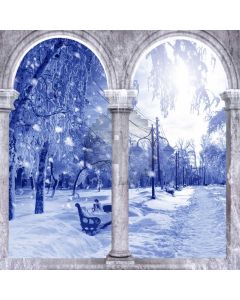 Arch Snow Tree Computer Printed Photography Backdrop ABD-205