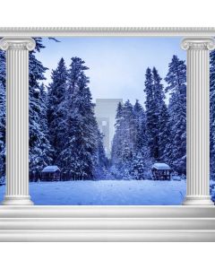 Fir Snow Arch Computer Printed Photography Backdrop ABD-221