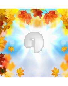 Maple Leaves Sunlight Computer Printed Photography Backdrop ABD-239