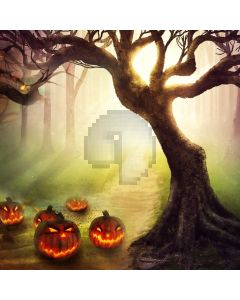 Tree Smog Pumpkin Computer Printed Photography Backdrop ABD-242