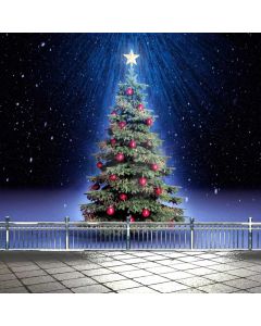 Fir Light Star Snow Computer Printed Photography Backdrop ABD-249