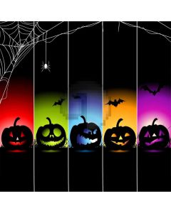 Pumpkin Lantern Colours Computer Printed Photography Backdrop ABD-270