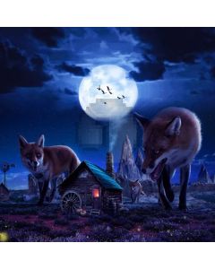 Wolves Moon House Computer Printed Photography Backdrop ABD-305