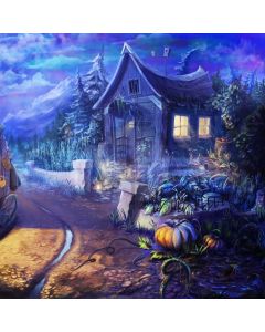 Pumpkin Cottage Computer Printed Photography Backdrop ABD-316