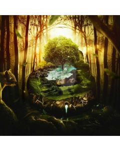 Stream Branches Light Computer Printed Photography Backdrop ABD-321