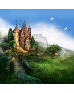 Architecture Stairs Grass Computer Printed Photography Backdrop ABD-344