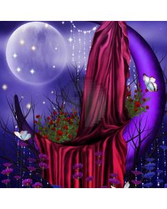 Curtain Moon Gleam Computer Printed Photography Backdrop ABD-363