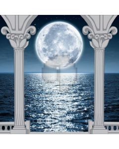 Arch Moon Computer Printed Photography Backdrop ABD-367