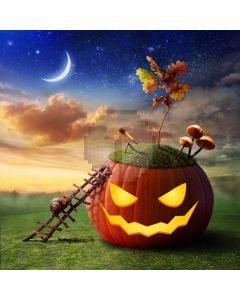 Halloween Pumpkin Computer Printed Photography Backdrop ABD-385