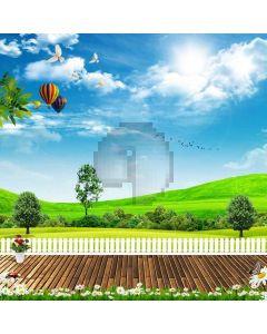 Balloon Floor Grassland Computer Printed Photography Backdrop ABD-386