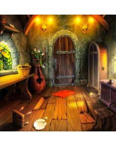 Door Floor Light Computer Printed Photography Backdrop ABD-393