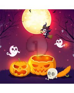 Halloween Broom Elf Computer Printed Photography Backdrop ABD-493