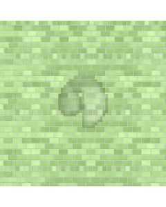 Green Wall Brick Computer Printed Photography Backdrop ABD-509