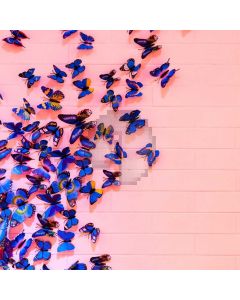 Birthday Animal Computer Printed Photography Backdrop ABD-519