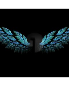 Night Plumage Computer Printed Photography Backdrop ABD-544