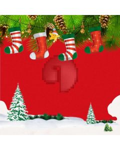 Sock Mistletoe Computer Printed Photography Backdrop ABD-627