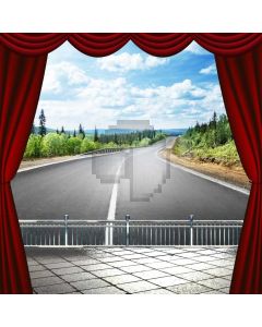 Road Red Curtain Floor Plant Computer Printed Photography Backdrop ABD-633