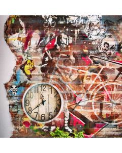 Graffiti Bicycle Clock Computer Printed Photography Backdrop ABD-647