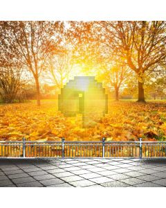 Fallen Leaves Road Rail Computer Printed Photography Backdrop ABD-654
