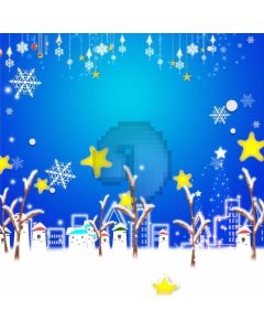 Snowflake Stars House Computer Printed Photography Backdrop ABD-666