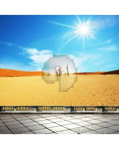 Desert Landscape Sunlight Computer Printed Photography Backdrop ABD-705