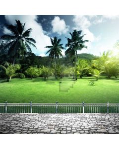 Palm Tree Rail Stone Road Computer Printed Photography Backdrop ABD-707