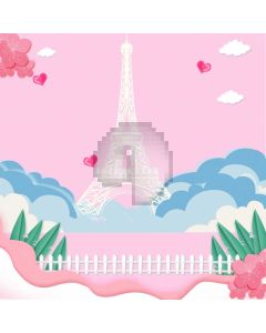 Eiffel Tower Fence Grass Computer Printed Photography Backdrop ABD-739