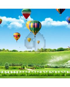 Nature Pasture Fence Balloon Computer Printed Photography Backdrop ABD-745