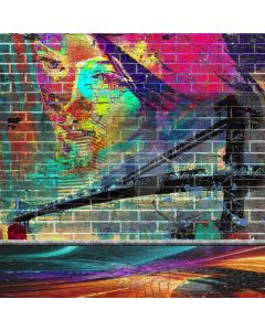 Bridge Graffiti Painting Computer Printed Photography Backdrop ABD-752