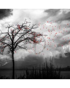 Tree Cloudy Weather Computer Printed Photography Backdrop ABD-755