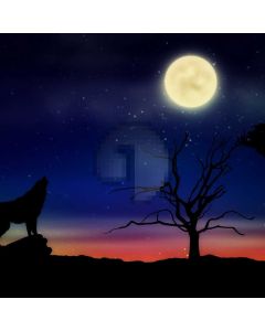 Fullmoon Animal Tree Computer Printed Photography Backdrop ABD-762