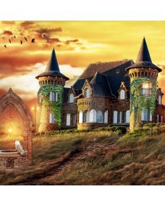 Castle Grass Sky Computer Printed Photography Backdrop ABD-764