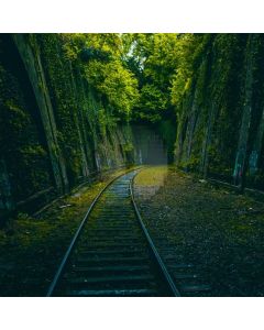 Lush Forest Road Green Computer Printed Photography Backdrop ABD-780
