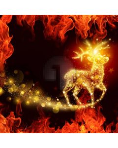 Reindeer Fire Glowing Spot Computer Printed Photography Backdrop ABD-783